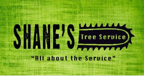 Shane's Tree Service